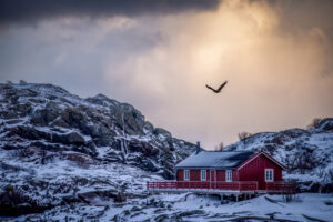Norway Log Cabins 