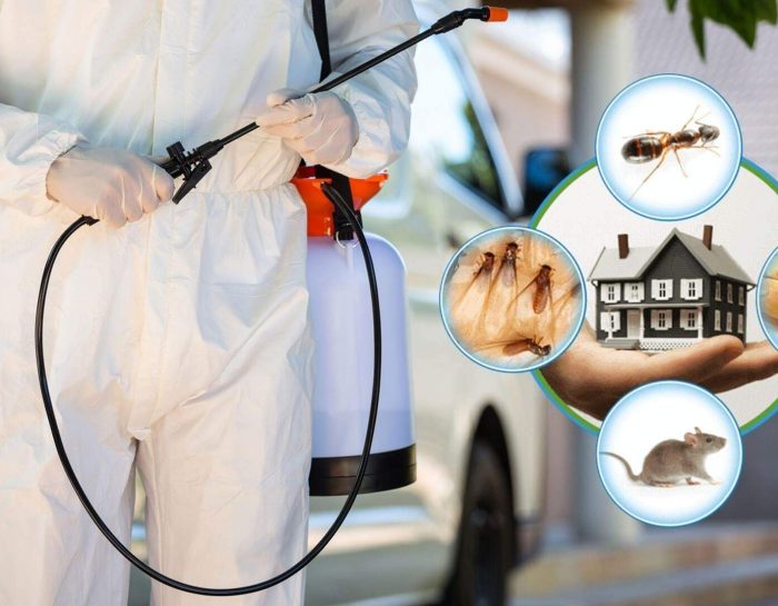 7 Reasons Why You Should Hire A Pest Control Service