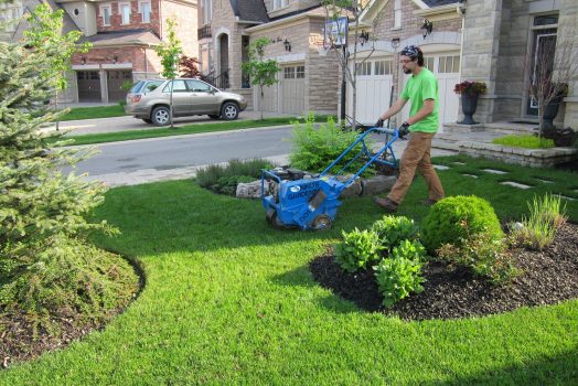 Why You Should Be Considering Lawn Aerating?